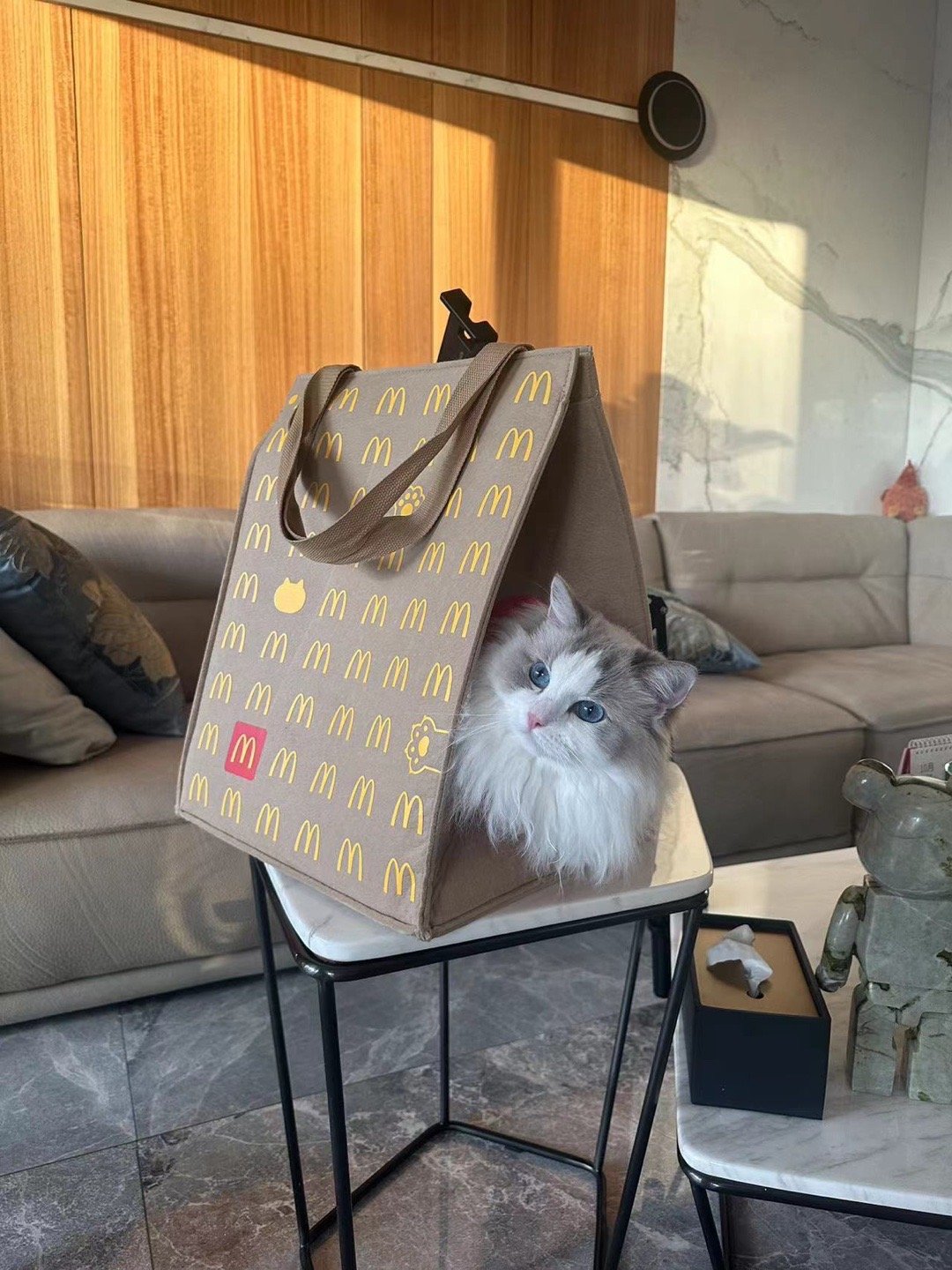 麦当劳🍔卡头包（家长） ​​​