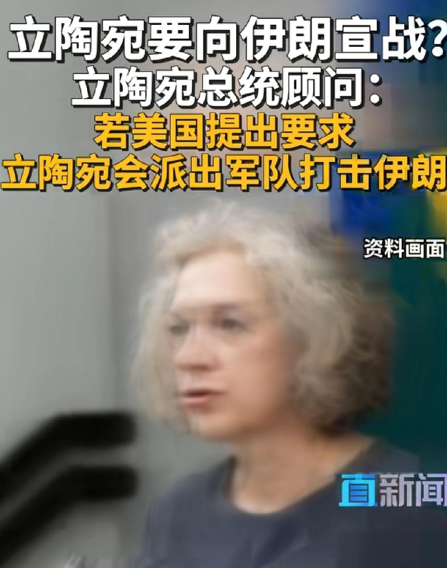 庙小妖风大，立陶宛这个国家竟然宣称如果美国邀请，立陶宛会派军队去伊朗！
米粒儿大