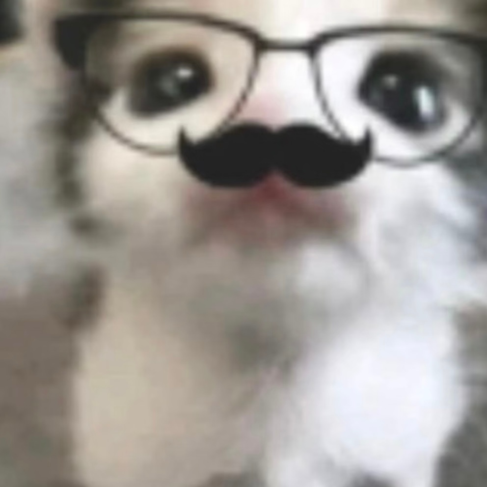 ⊝ᴥ⊝ᐝ