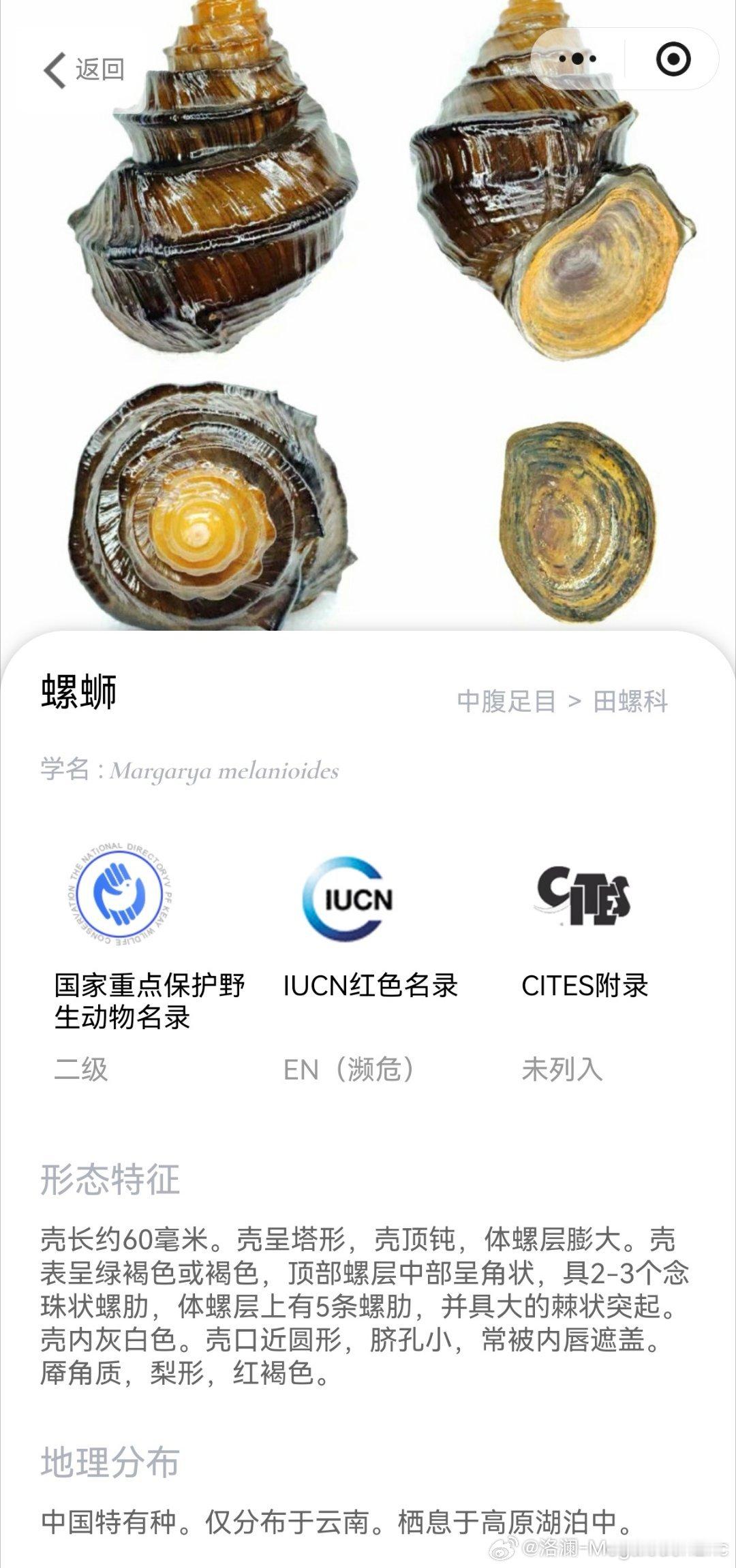 很刑，且可拷这种情况也可以从侧面说明，国内有关部分国家级重点保护无脊椎动物的普法