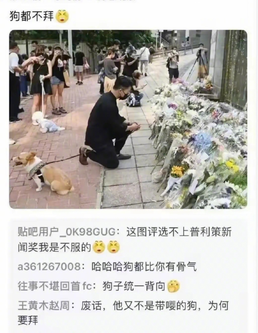 刚刚看到这张图，好像是英国女王死的时候，狗子都比某些香港人有骨气。 