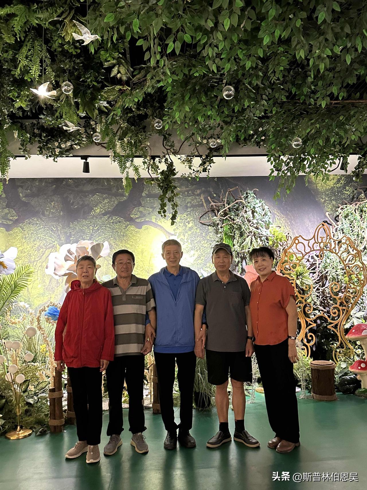 告别忙碌工作后，我的退休日子充实又自在。每日早起散步锻炼，打理小院花草，闲暇约老