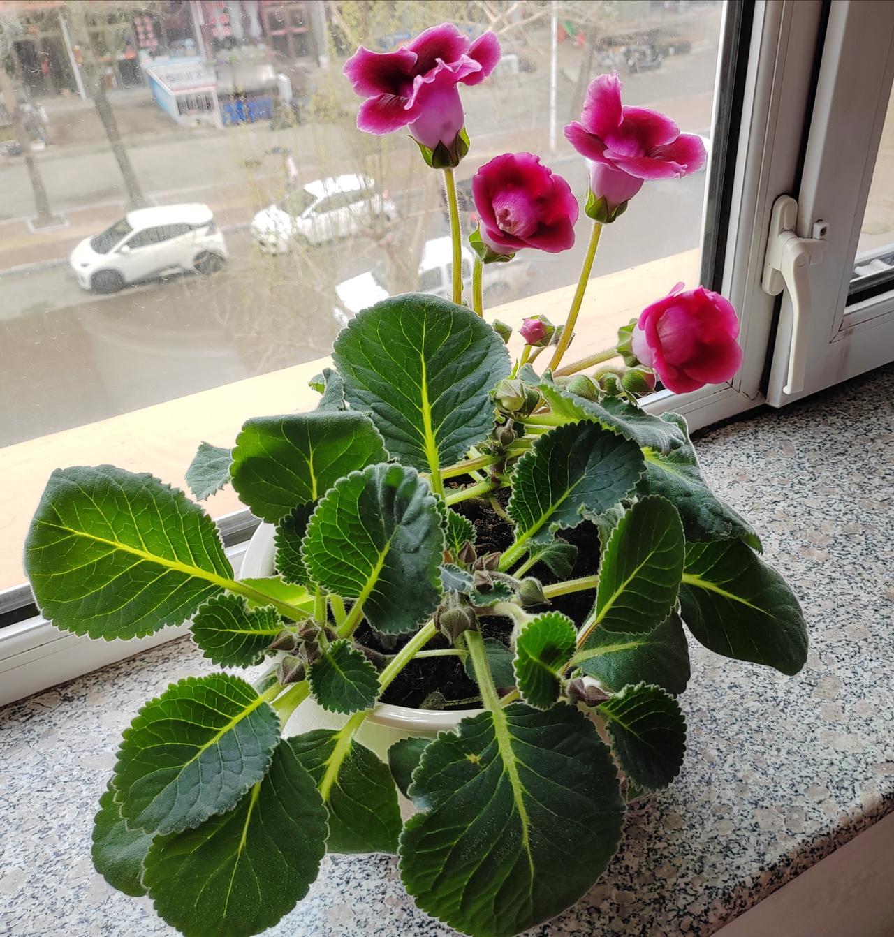 


糖尿病患者一定要熟知的10个问题，一条也不能忽略！