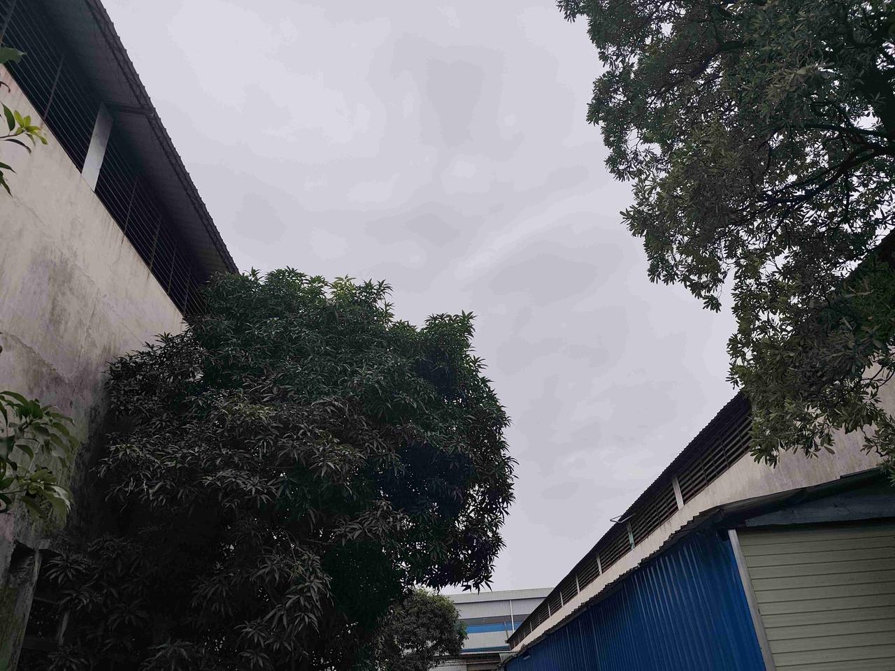 我的今日状态：💪🏻充满干劲
我这里的天气：🌤️多云
11月3日，今天阴天，