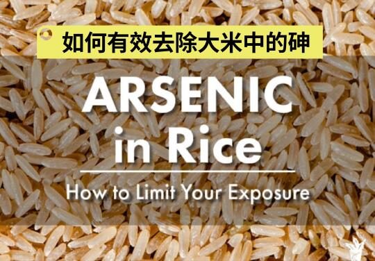 BBC：气候变化可能会增加大米中砷含量