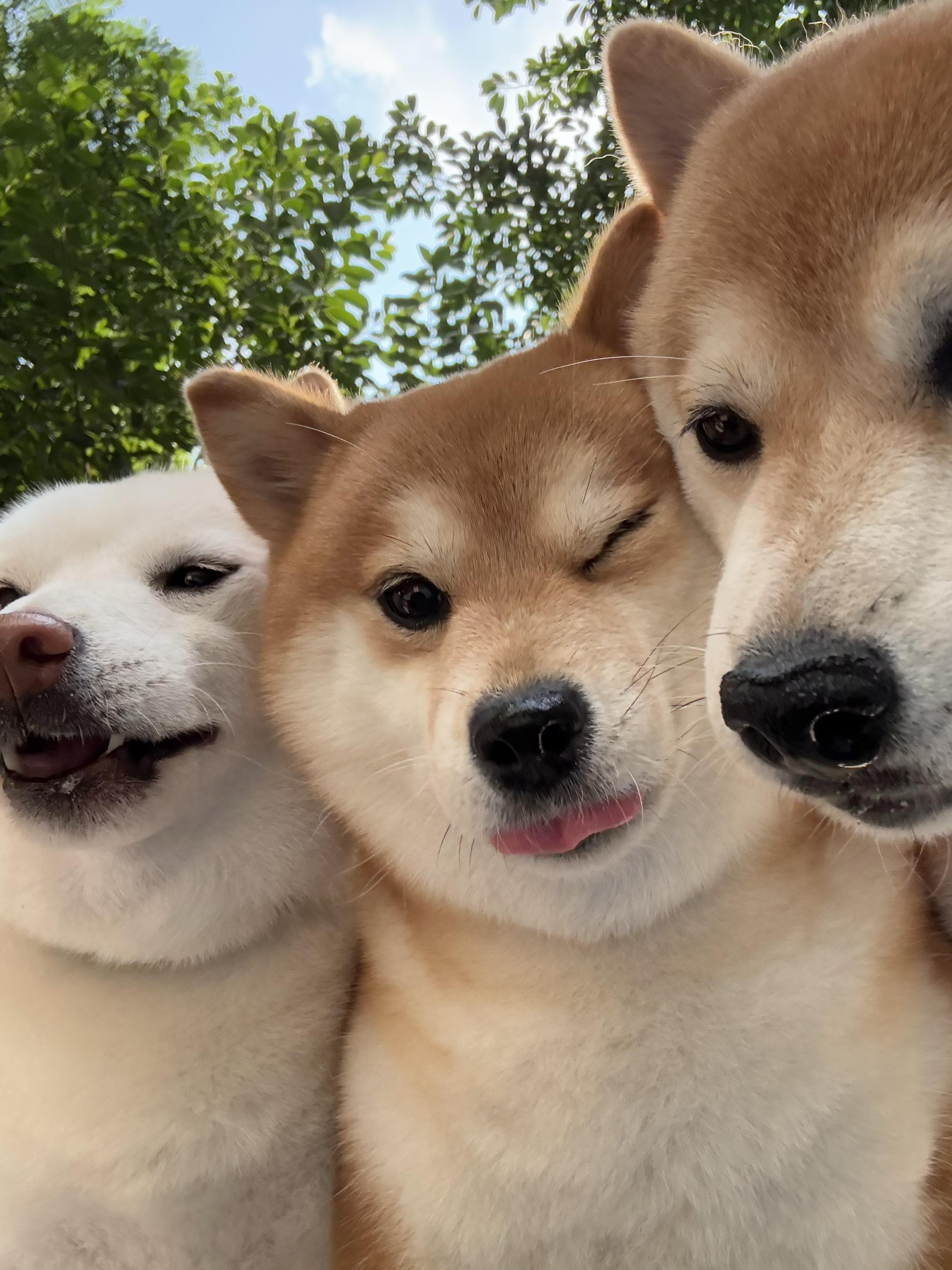 你开心的话，杳无音讯也是可以的