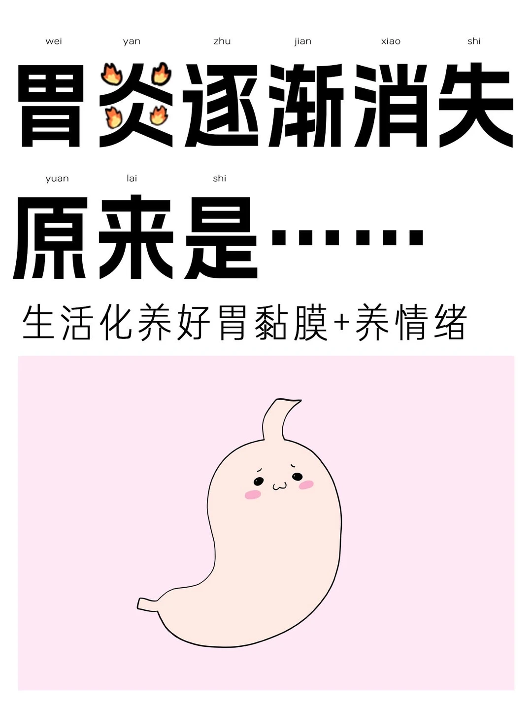 跟着科学方案调理，胃yan真的逐渐转好了