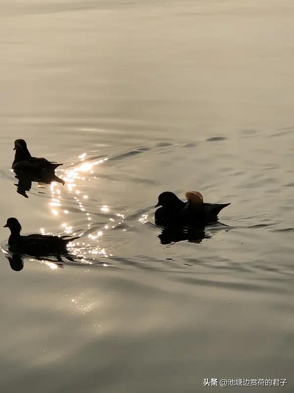 人与人之间的关系维系是靠什么? 人与人之间的关系维系是个复杂的事儿。有人觉得利益