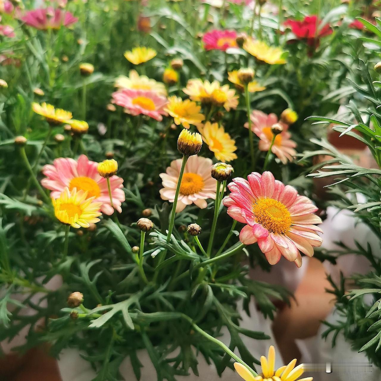 一个女人对男人最大的认可是什么?
女人最高级的认可，是卸下所有铠甲。当她愿意暴露