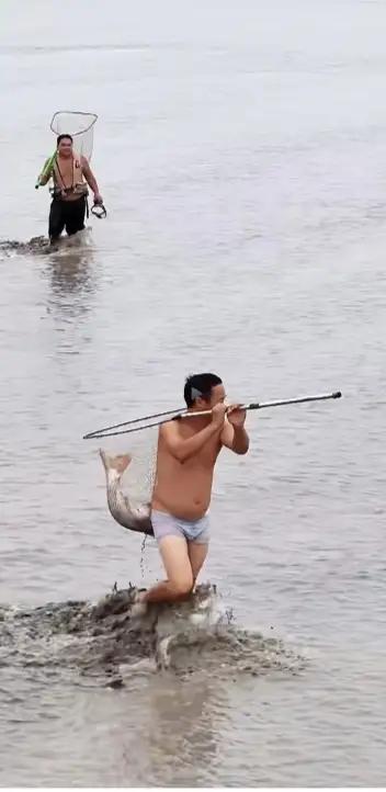 这是他们在钱塘江抢滩头鱼，这就是生活，这就是“玩”，这是一种乐趣，这是生活中的激