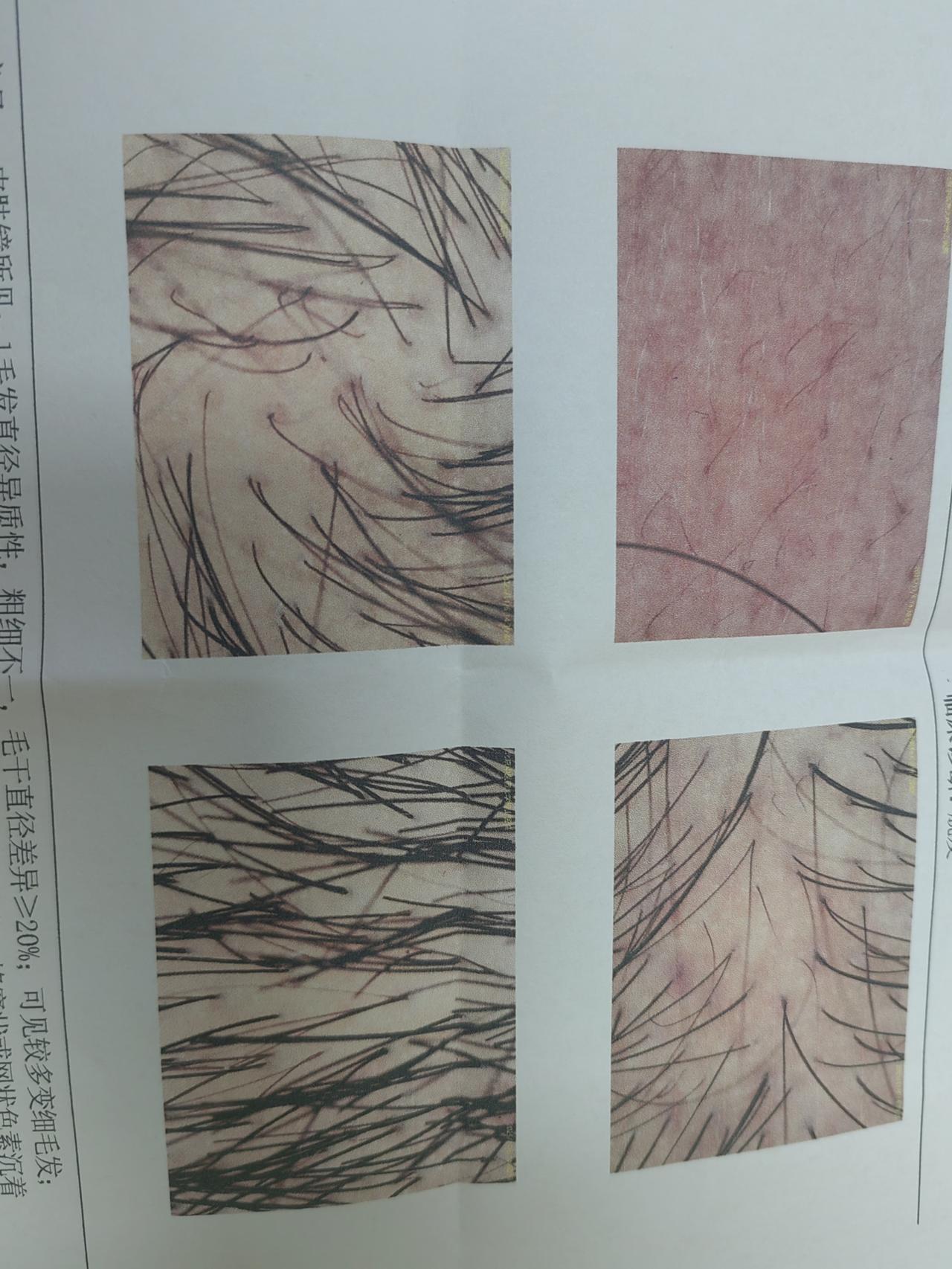 在工地干的小伙伴们都知道，很多人会羡慕项目总工这个位置，但是看到这个图，我想好会