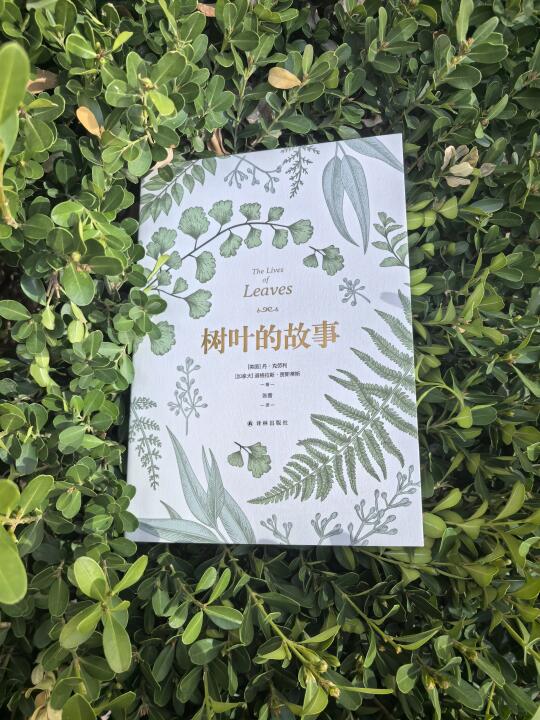 《树叶的故事》：解读自然界的神奇生命