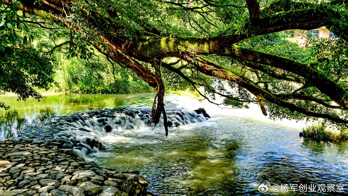 【股权激励定价：五大基准与核心决策逻辑】股权激励的定价，是方案设计的核心环节，直