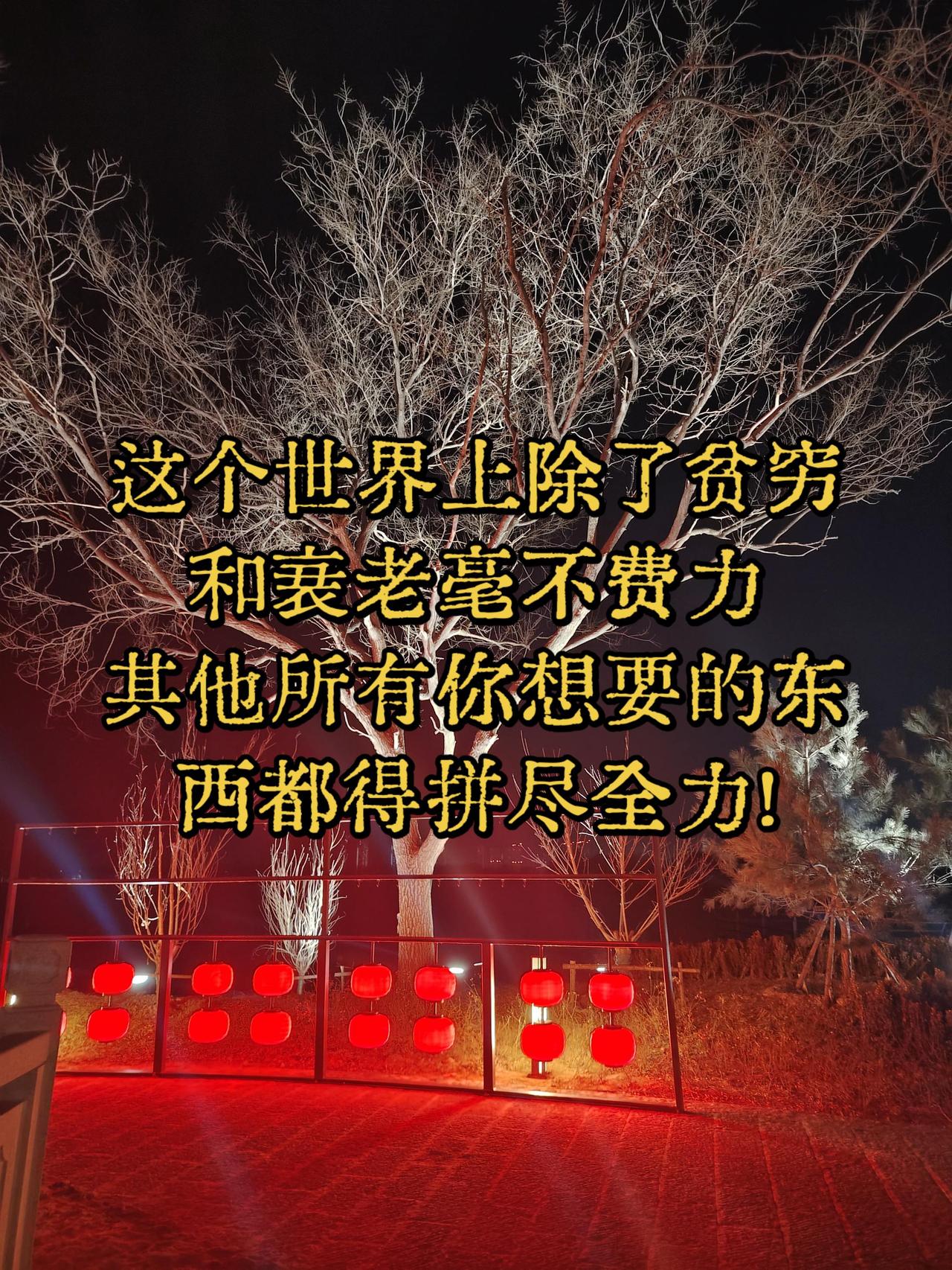 这个世界上除了贫穷和衰老毫不费力，其他所有你想要的东西都得拼尽全力！贫穷 衰老 
