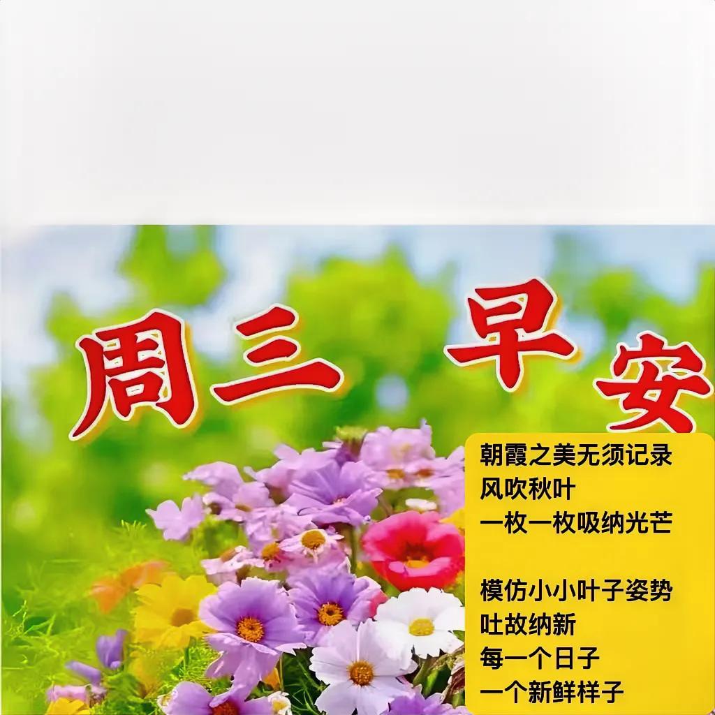 风拂过
若是心动
全世界
与自己连上线
．
眼前饱满秋色
一叶叶数过
然后摘片最