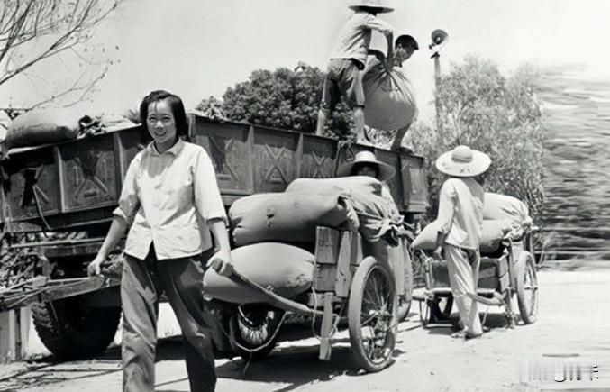 交公粮的时代你还记得嘛？新中国成立初期，物资匮乏，解决口粮都是问题，在这种情况下