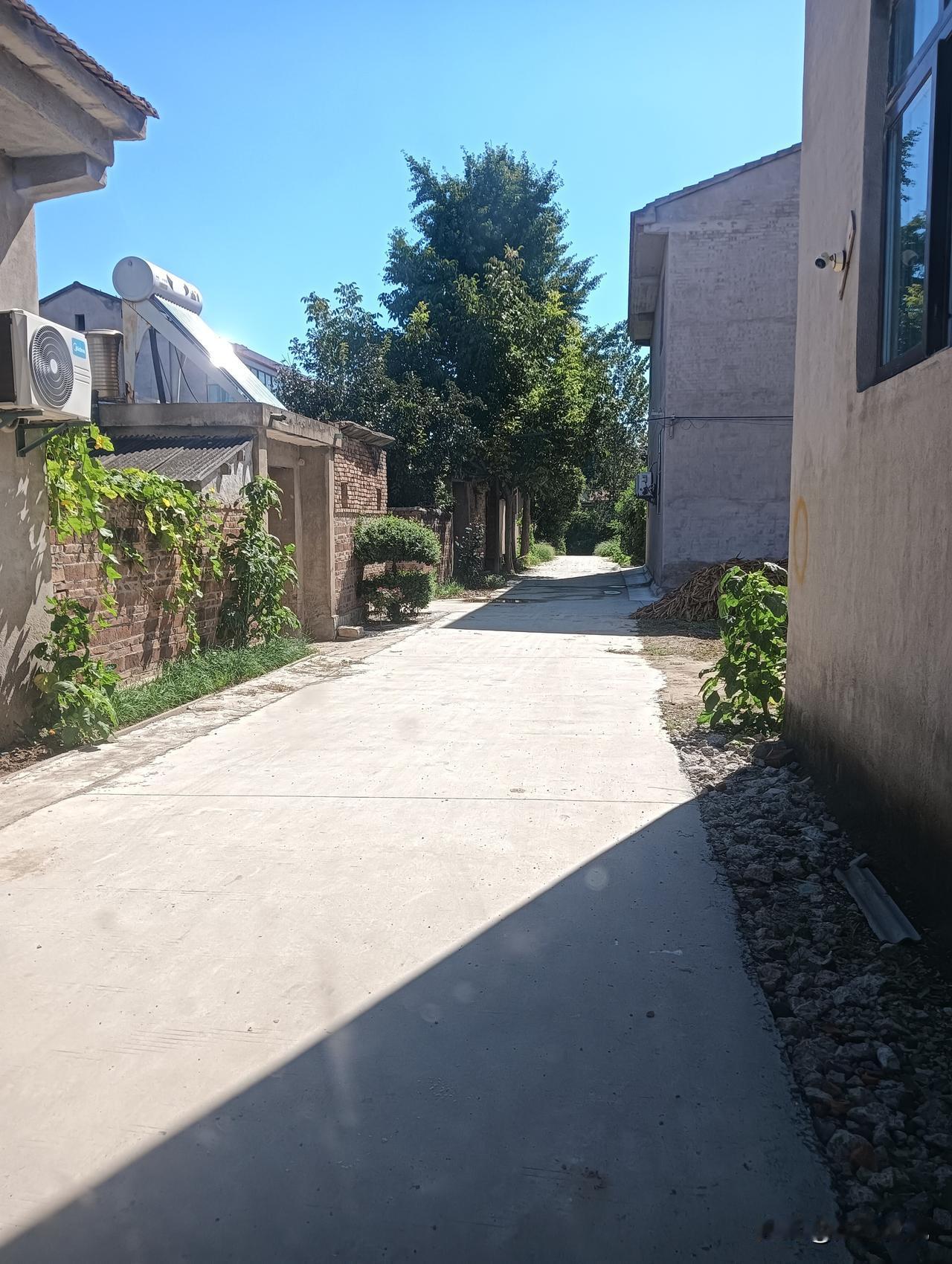 这小巷子阳光明媚，绿树成荫。门前的水泥路才盖好没有多久。显得格外的舒服。老巷子街