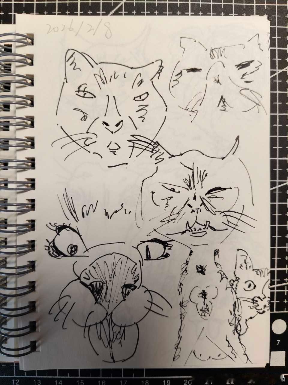 49378【丑猫】咪你真的好丑丑猫卢浮宫