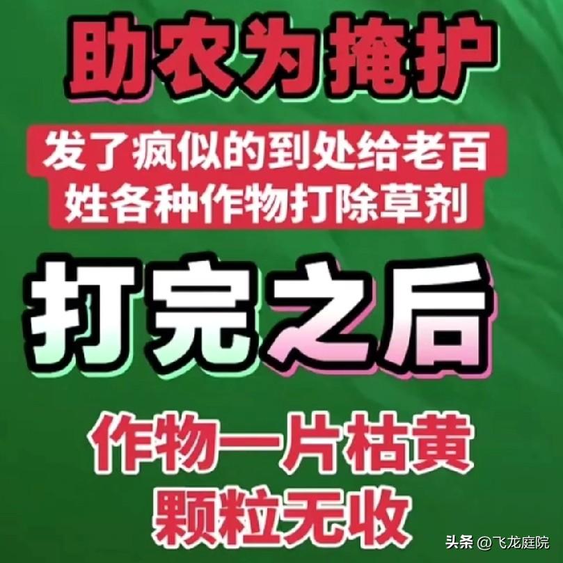 养蜂人蹲在地上，双手颤抖，泪泪纵横。“全死了，几百箱全死了。我养了三十年蜜蜂，头