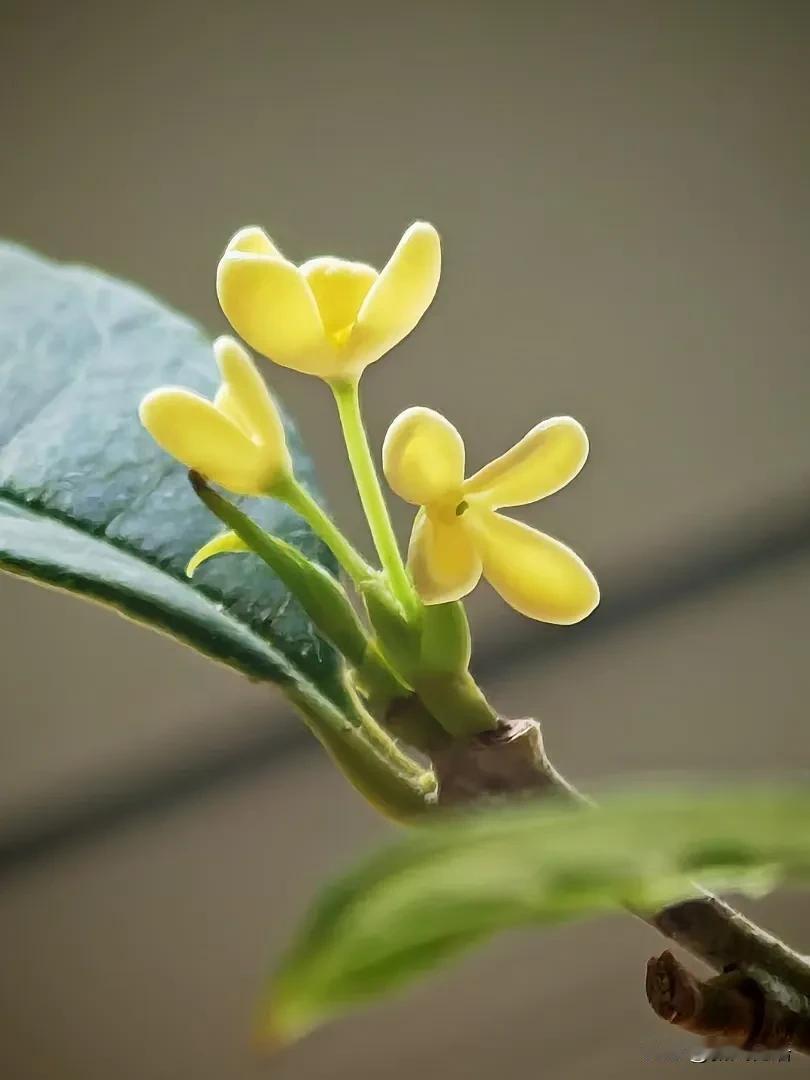 考试后的第一节课怎么上？[思考]

今天上午，我们办公室的人都有课。上课前，徒弟