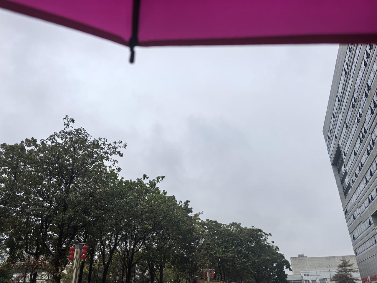 感觉厦门有几个月没下雨了吧。。节后开工第一天，春雨贵如油！