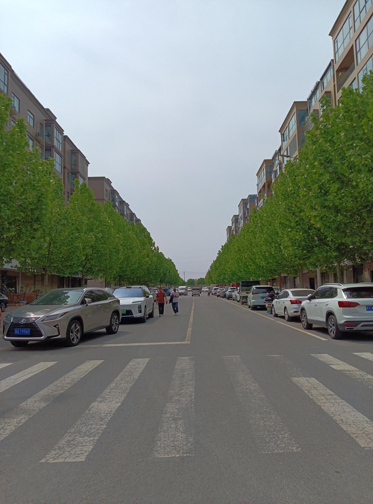 这街道也太有生活感了！
 
家人们谁懂啊！吃吧饭下楼转走在这条路上直接被治愈到～