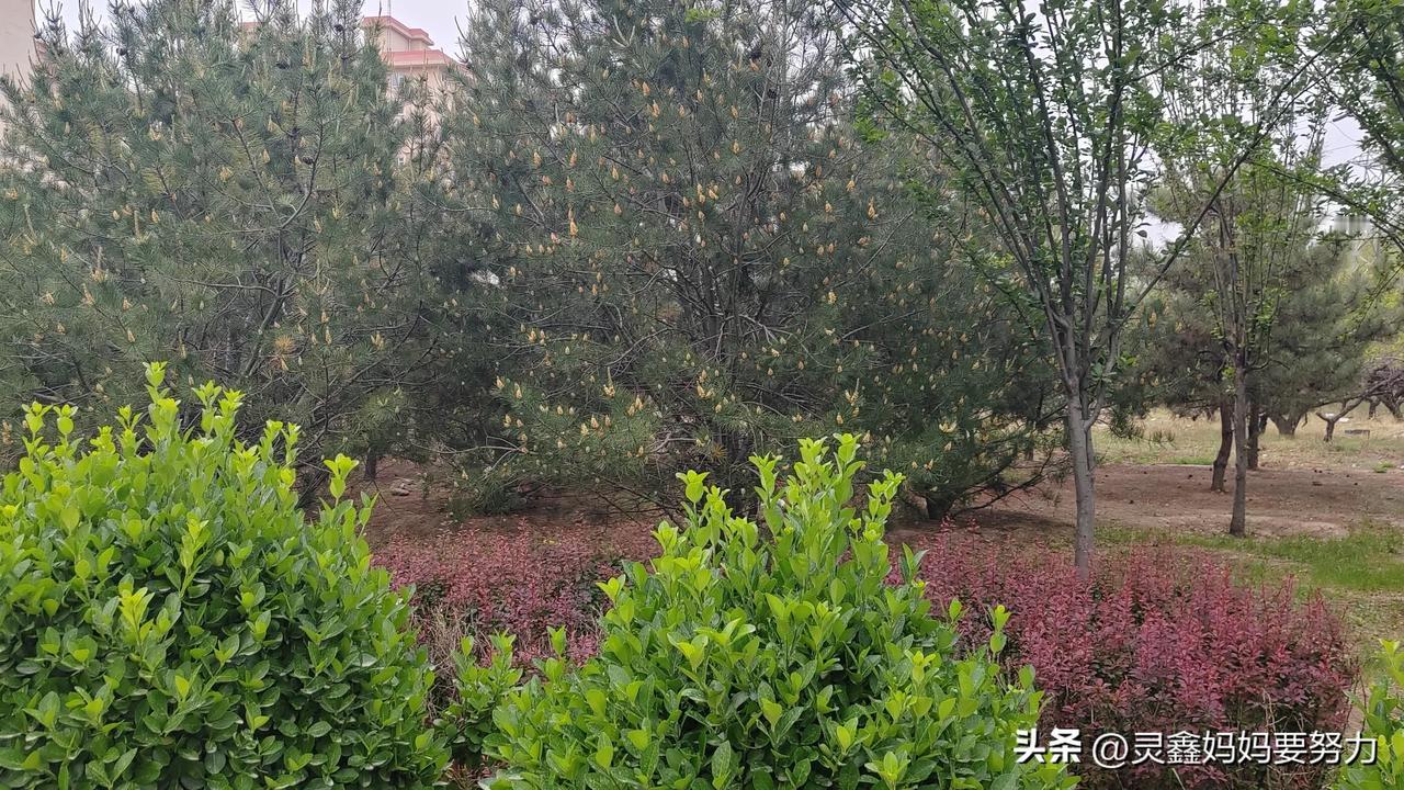 与自己无关的事，不要过多去纠结。
与自己相关的事，不影响自己就好。
与自己有关的
