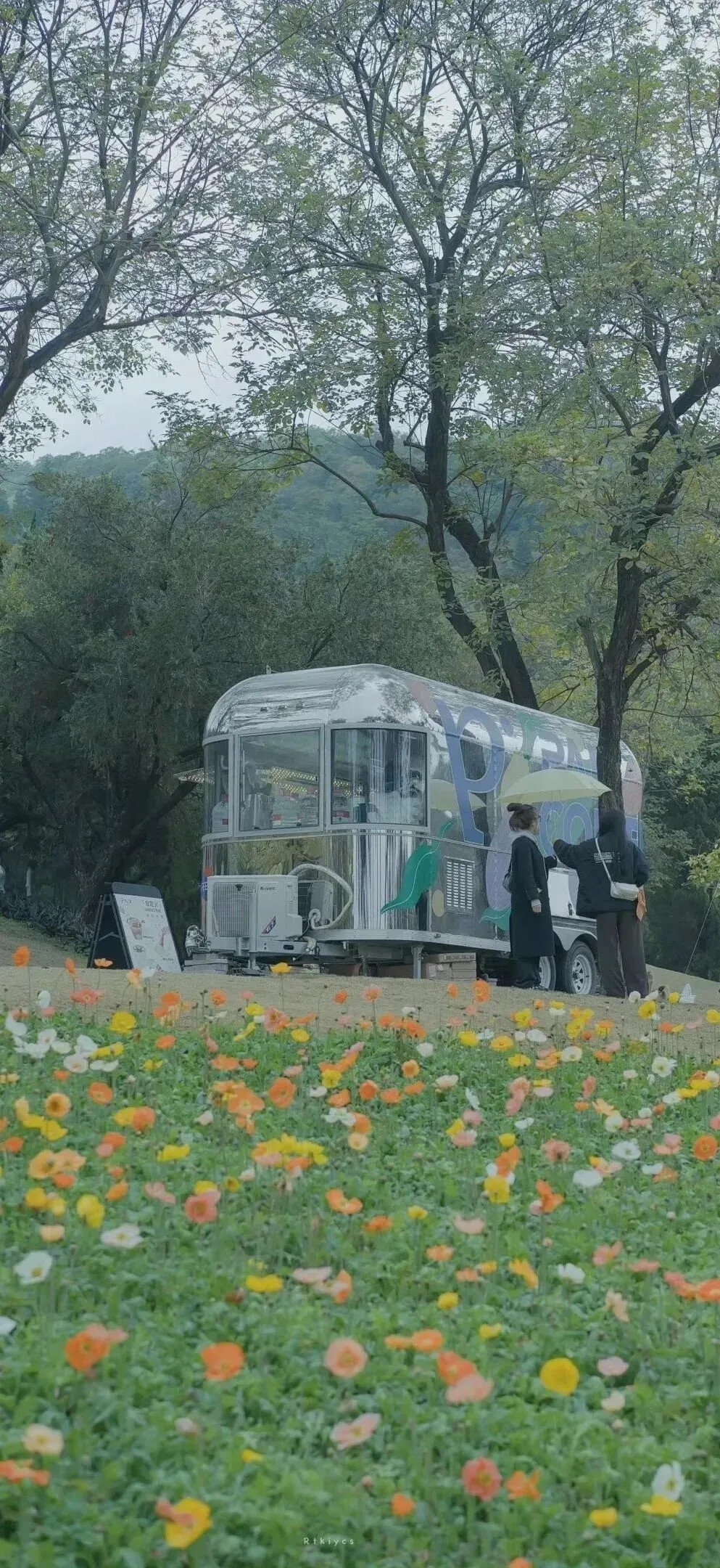 我只是独自恋着珍藏在心里的那个名字。我的爱无声无息，就像温柔的风，轻轻抚过草原。