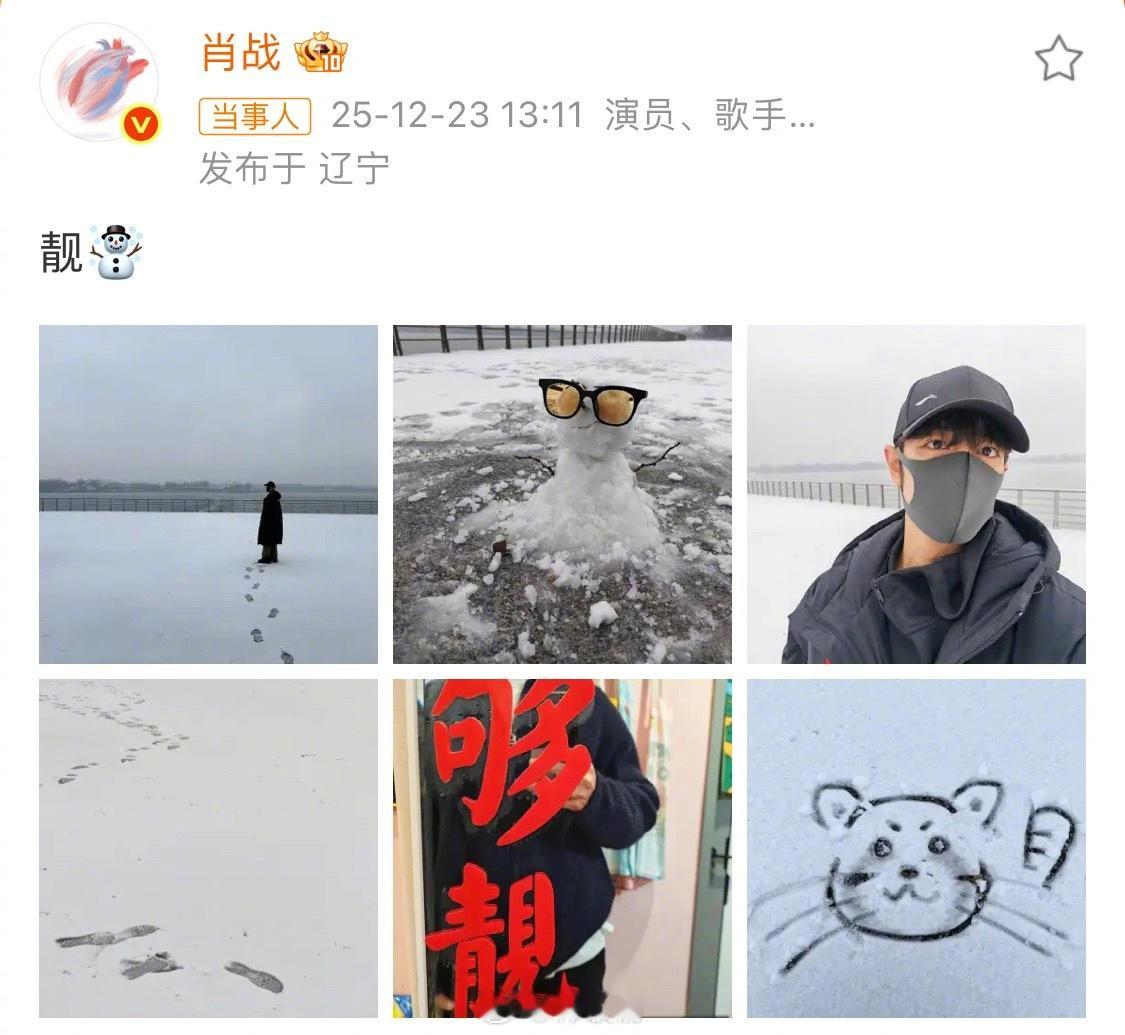 肖战堆的雪人倒了肖战 在北方的南方人肖战堆雪人日记昨天：戴墨镜的雪人好得意今天：