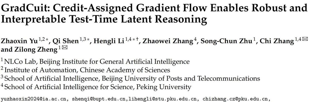GradCuit: 稳健且可解释的测试时潜在推理
GradCuit: Credi