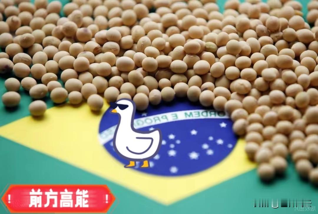 巴西大豆坐地起价！
对华报价疯涨，中国买家集体停购：就等两个时机。
“巴西这是趁