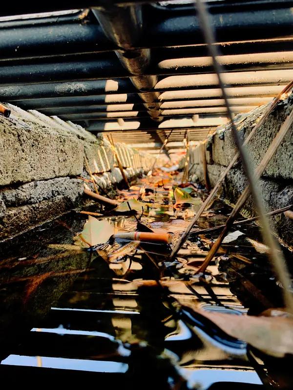 新年偶遇水中财！女子散步意外捞获现金
 
春节假期的日常散步藏着意外惊喜。街边水