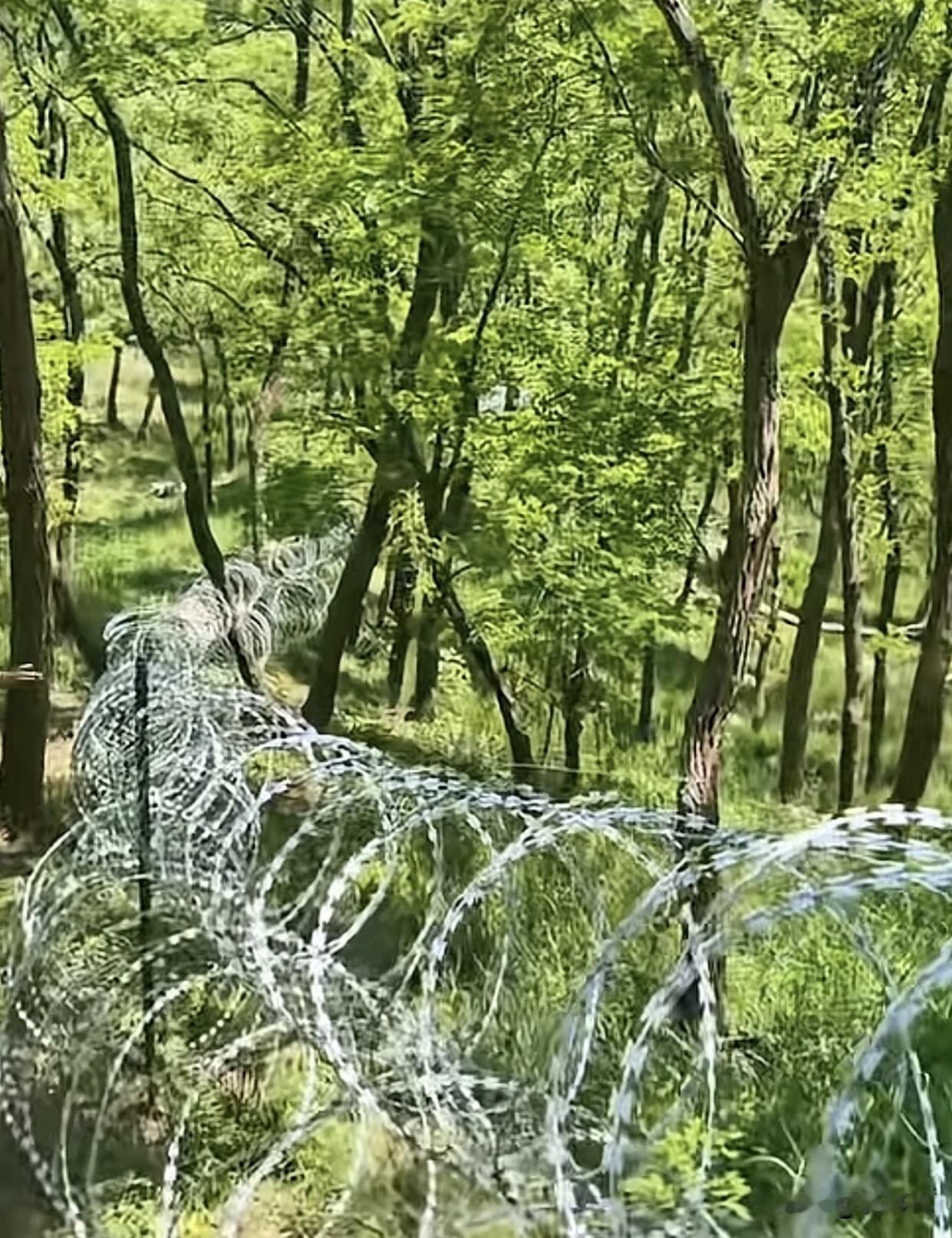 泰山景区的围网该不该拆我认为泰山锋利围网理应拆除。当初搭建是为防火、阻止野路进山