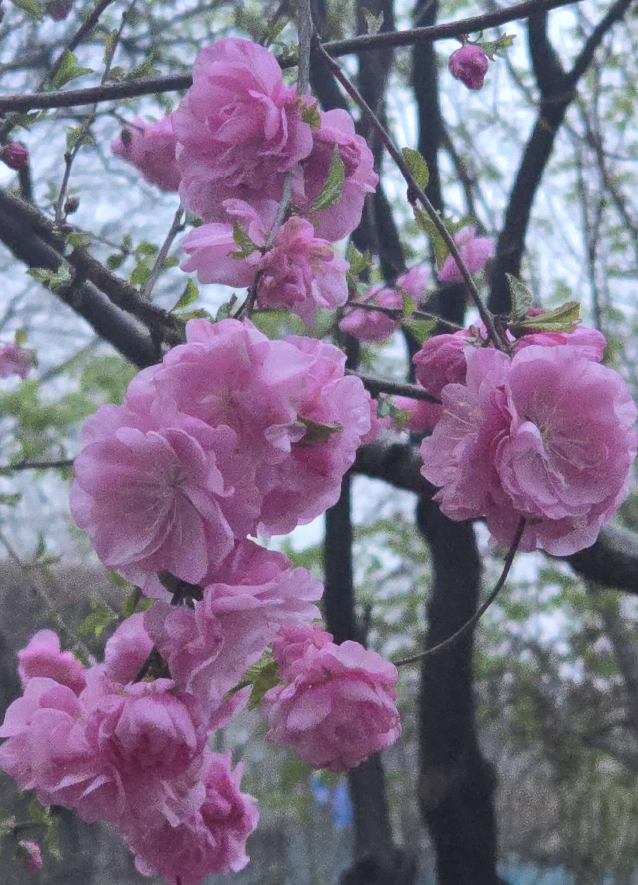 老有所交人欢乐，老有事做不寂寞。
广识润心，悦己悦人，一举四得。大家认为呢？