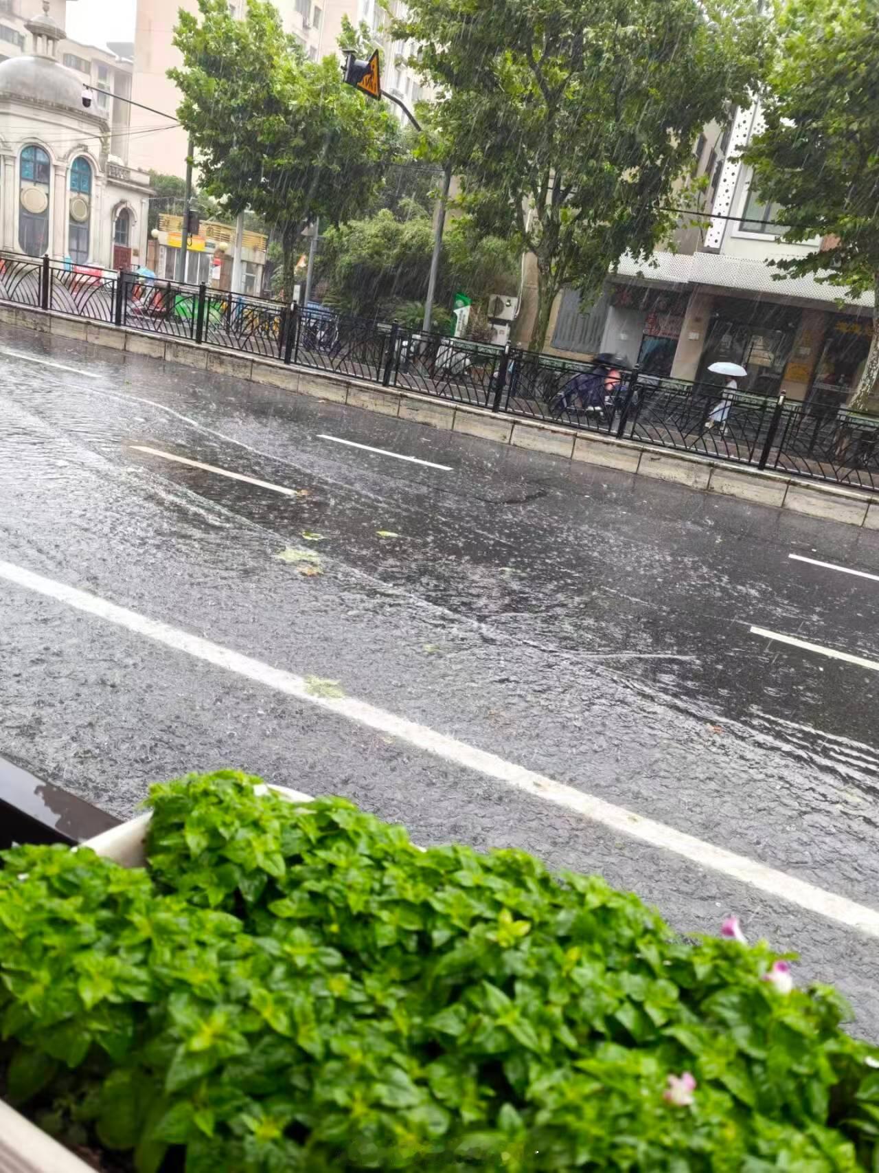 北京暴雨 这白海豚真是厉害啊，刚影响完上海，又跑去影响北京了 