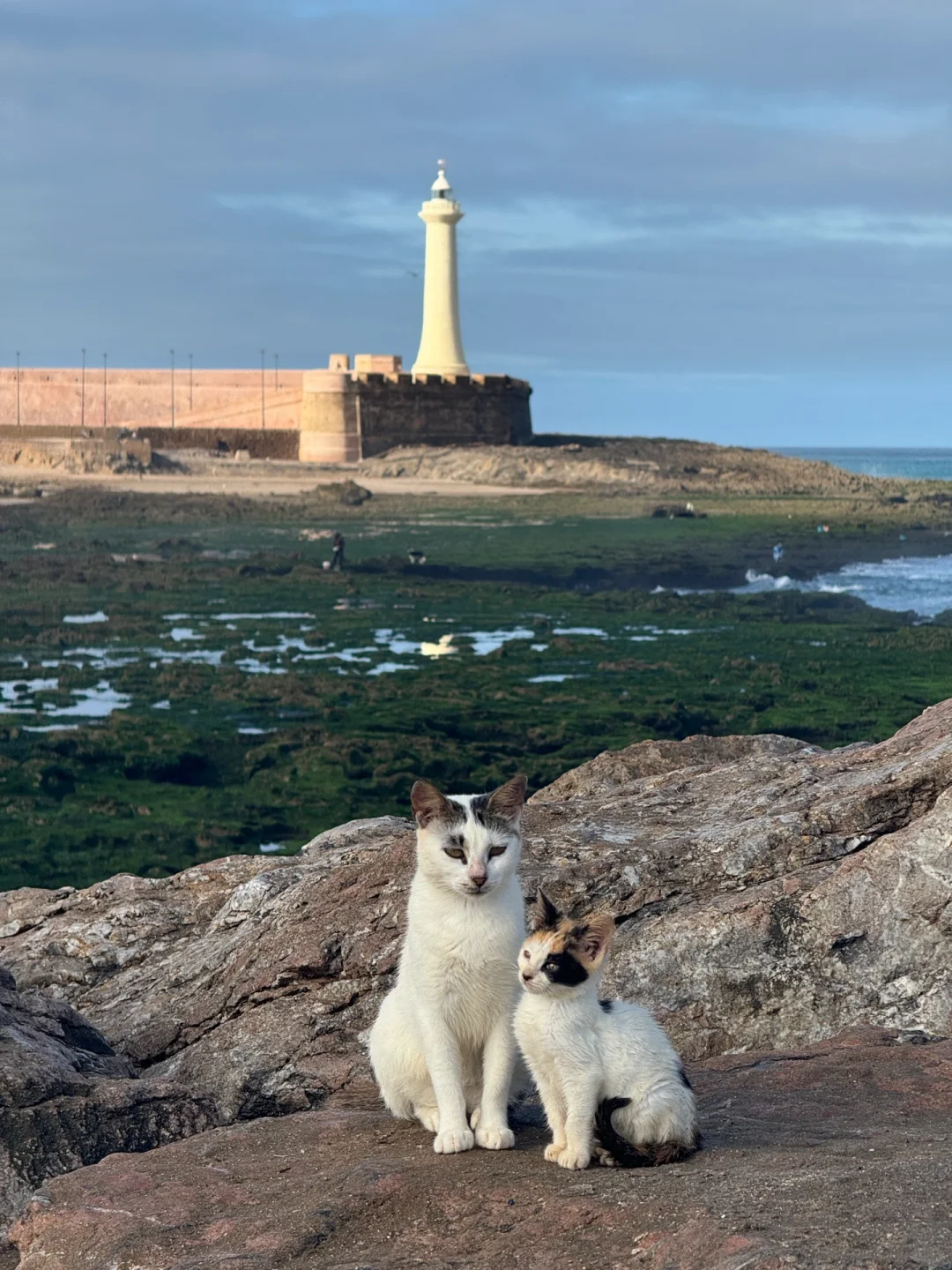 死后也要面朝大海