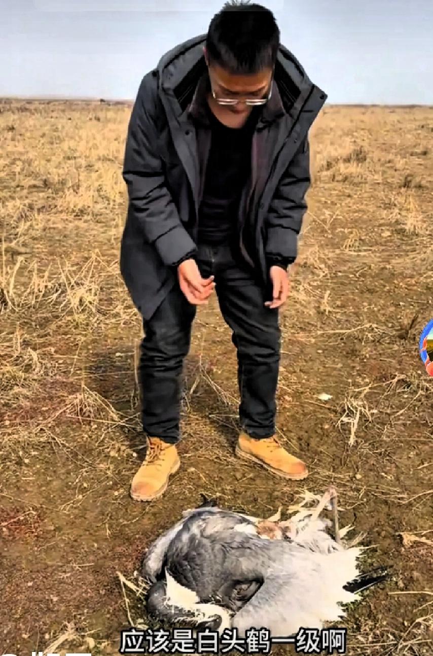 真的太令人气愤了！
我就奇怪了，有些个别人为什么净做些让人膈应的事呢？是闲的没事