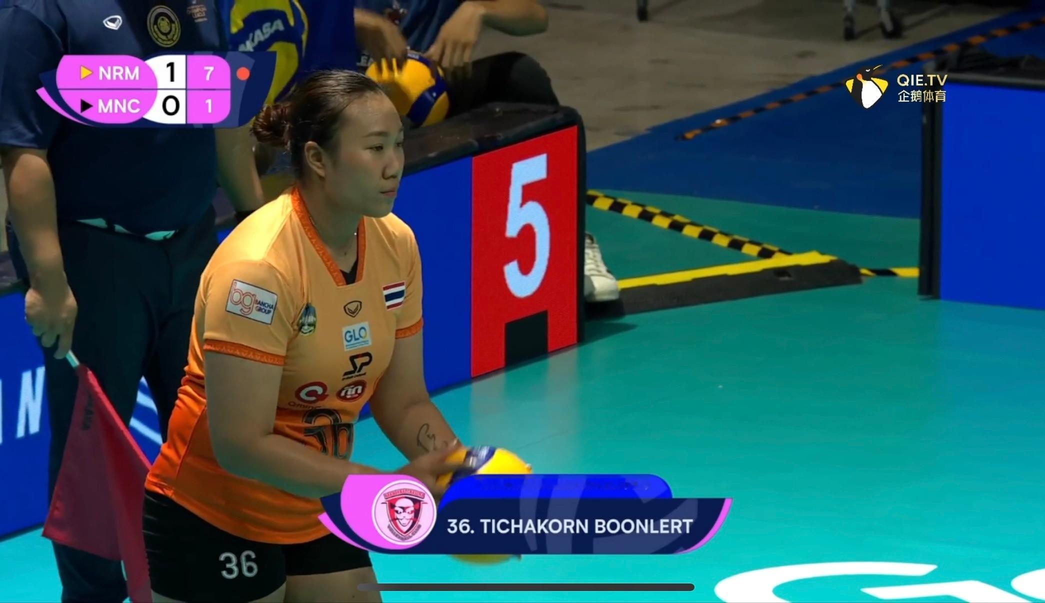 蒂查孔，好久不见 