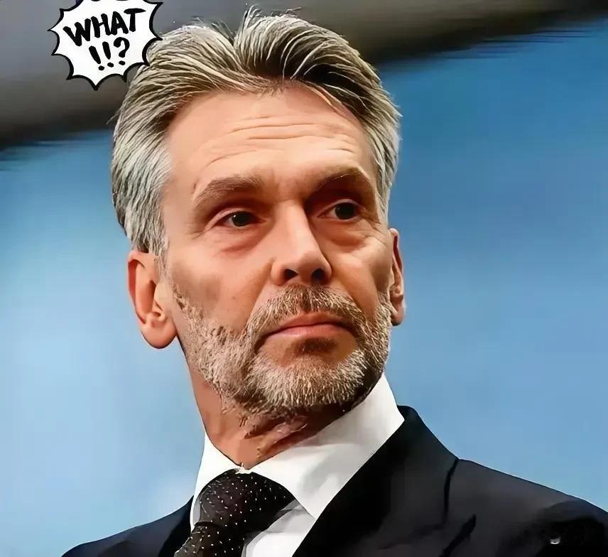 荷兰企业法庭做出裁决
2月11日，闻泰科技发布公告，荷兰企业法庭做出裁决，维持了