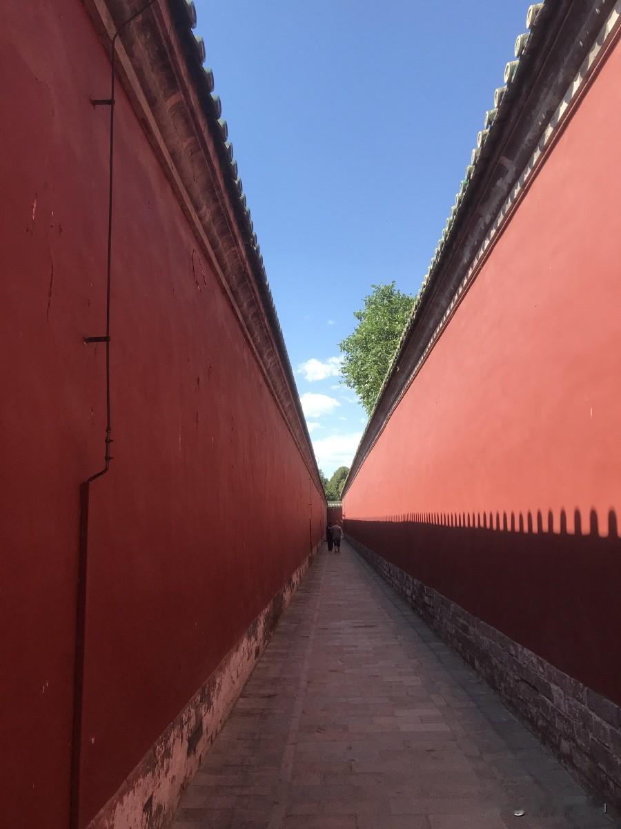 故宫夹墙

清朝末年，宫里有个老太监叫顺喜，守了一辈子库房。

临终前，他把徒弟