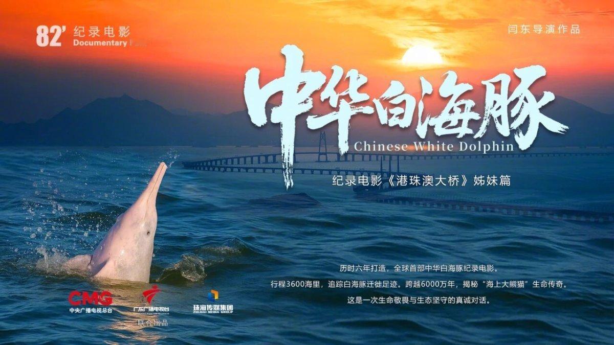 【期待！全球首部中华白海豚纪录电影即将上映】纪录电影中华白海豚近日，全球首部以中