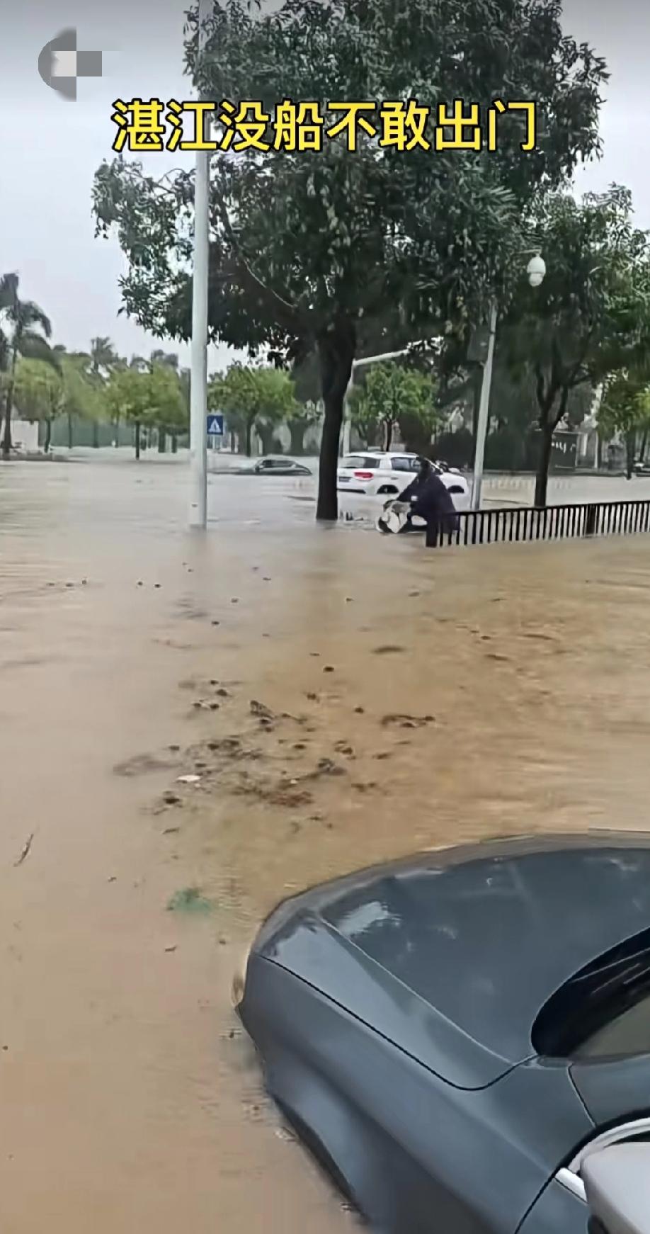 今天雷暴雨，湛江市区又开船出行了[笑哭][笑哭]
