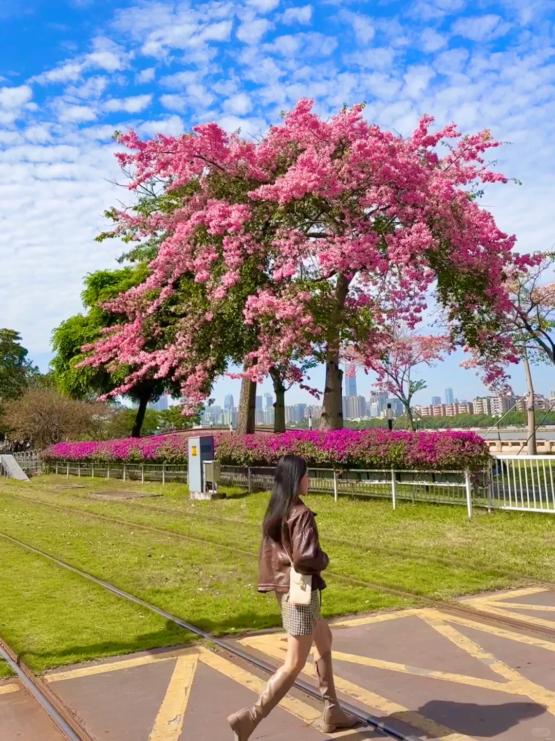 答应我！一定要来广州感受粉色浪漫列车🌸