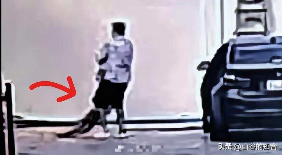 破案了！泰国杀害安徽女子计某的是陕西籍男子赵天行。2月21日，赵天行在泳池派对中