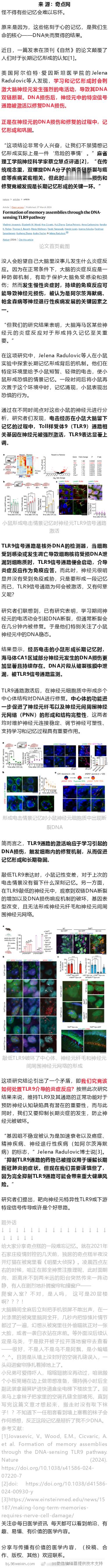 《自然》：记忆真就是刻DNA啊！科学家颠覆发现，长期记忆形成会导致神经元DNA断