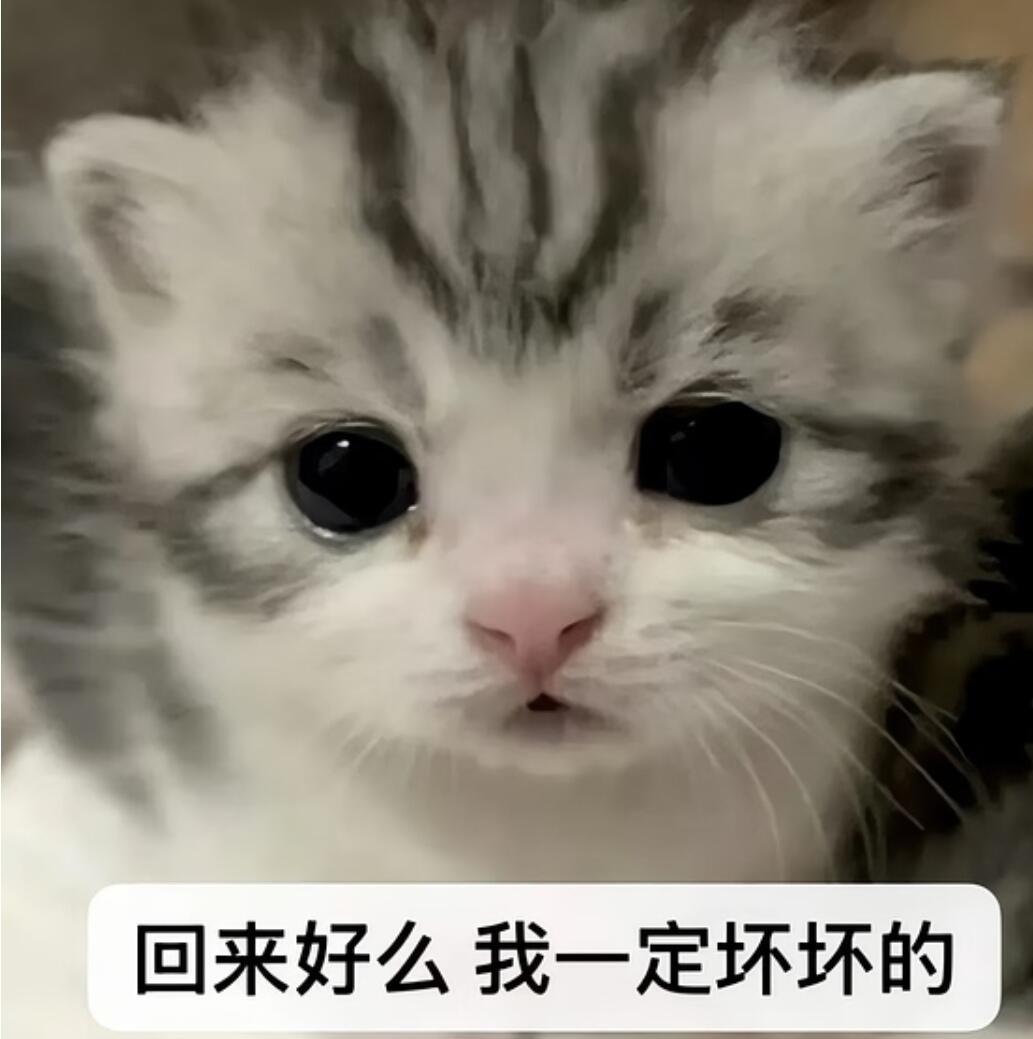 这个号是不要了吗网页链接否则怎么忍心这么久不更新呢