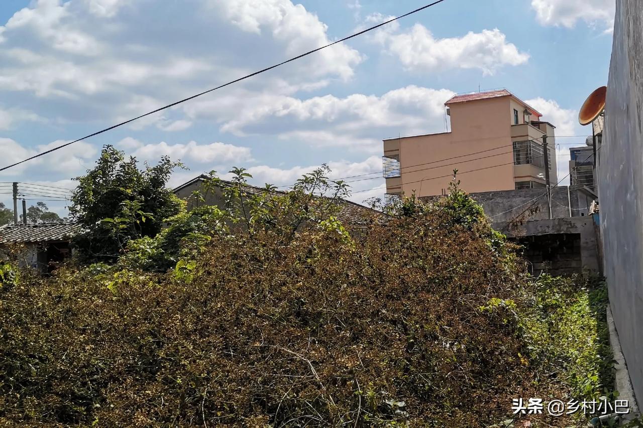 回家过年了，第一感觉挺凉的，路修好了！房子漂亮了！环境舒适了！你确没回家！
年变