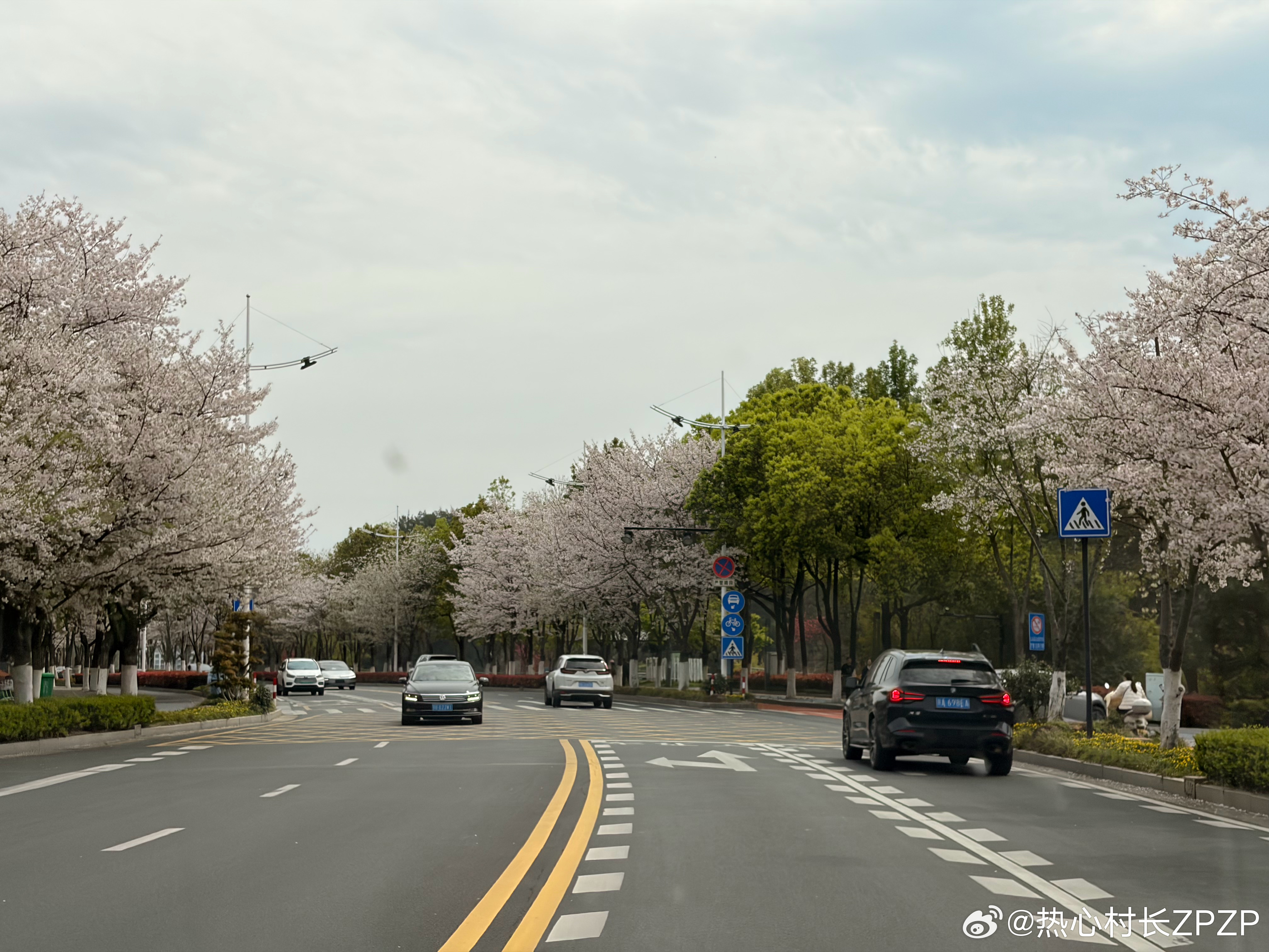 千岛湖这景色有点夸张了！ 我的日常plog 杭州·千岛湖开元度假村