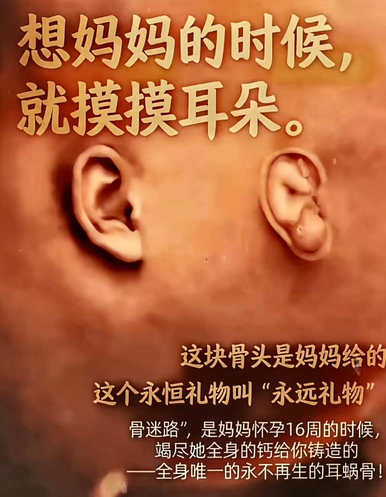 中元节！        遗憾吗?又是一年中元节，怀而不在，念而不得。一别再无期，