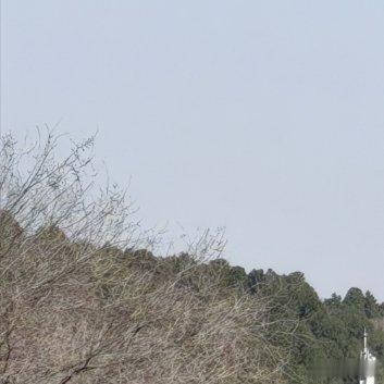 你常常焦虑，担心来不及，担心不够好。可你知道吗，花儿从不着急开放，星星也不急着闪